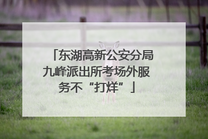 东湖高新公安分局九峰派出所考场外服务不“打烊”